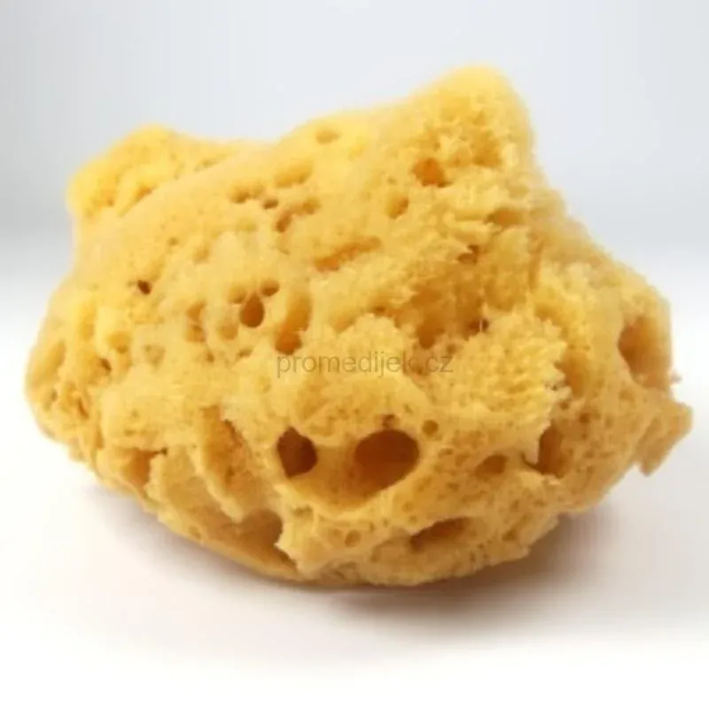 Mycí mořská houba z Karibiku Magnum 164